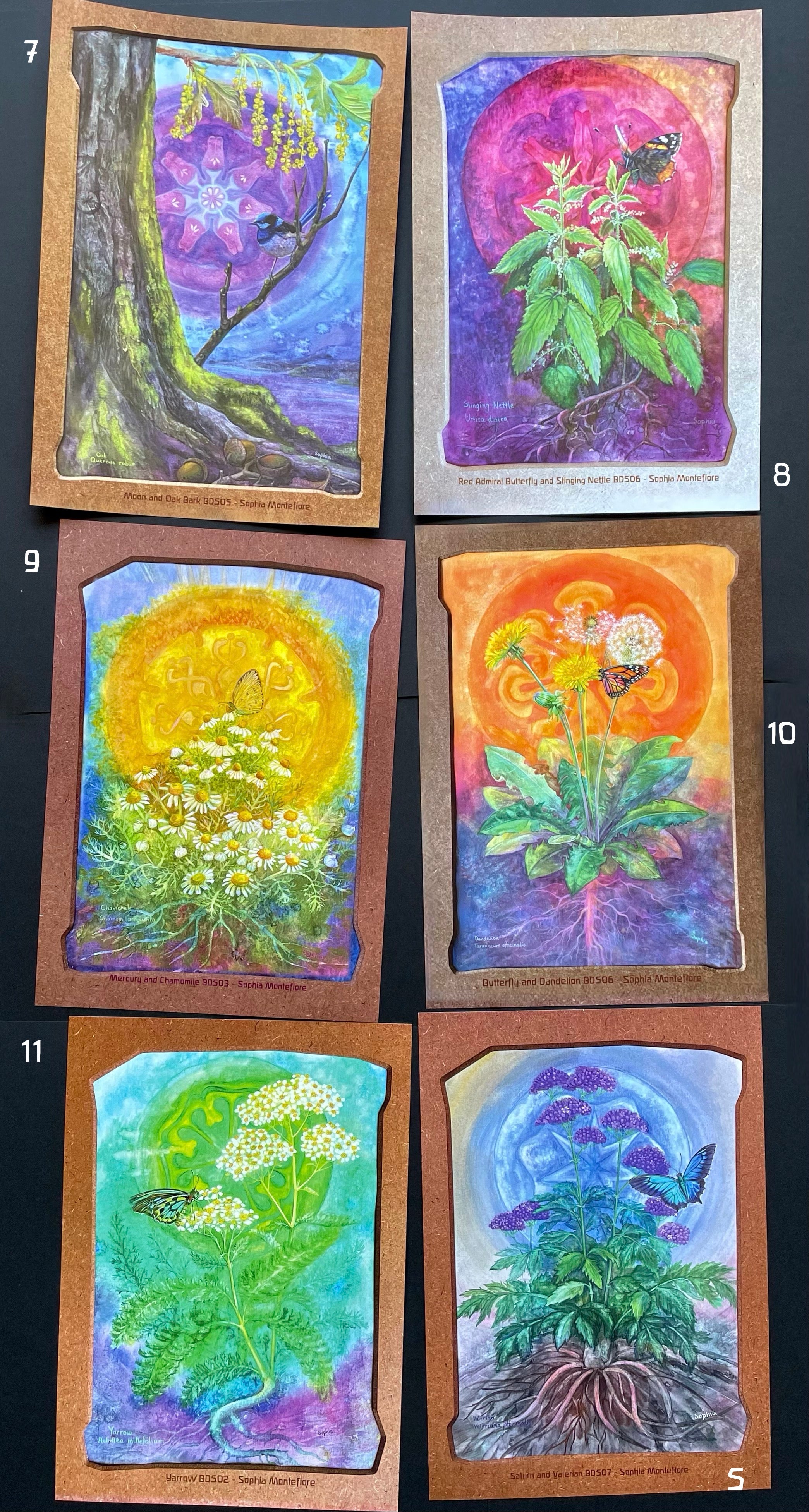 Biodynamic Plant Posters - set of 6 – Sophia Art Perspectives