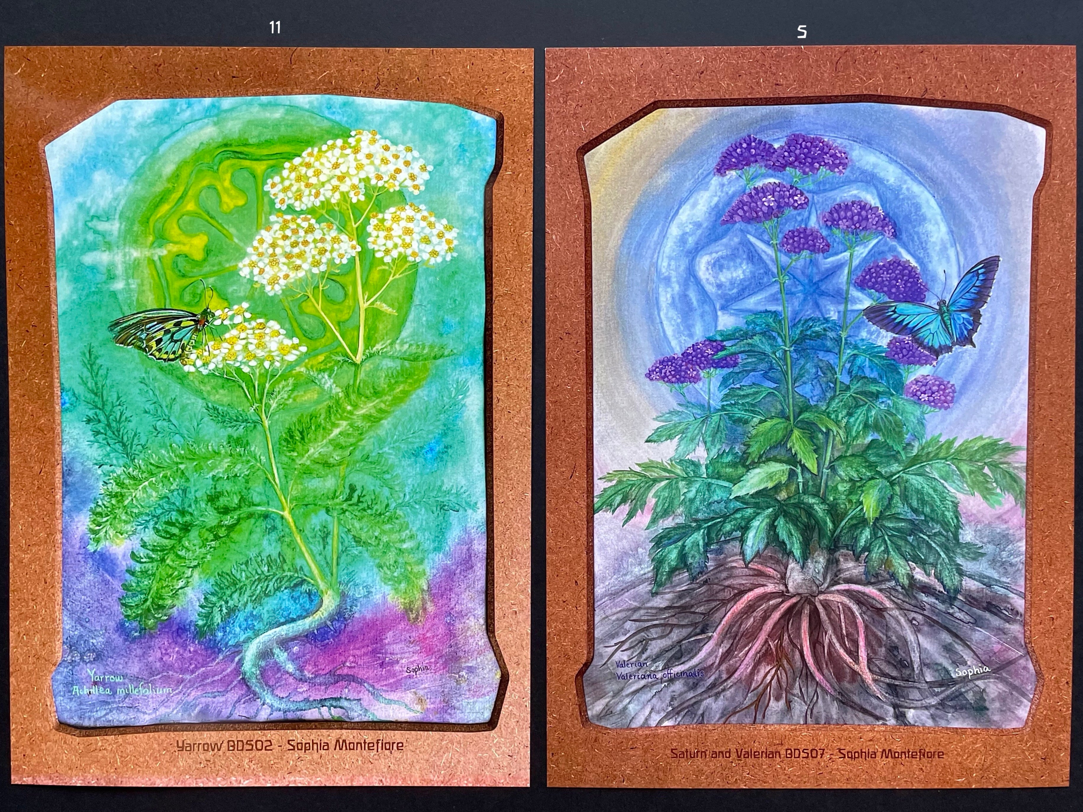 Biodynamic Plant Posters - set of 5